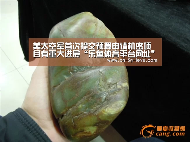 乐鱼app手机版下载