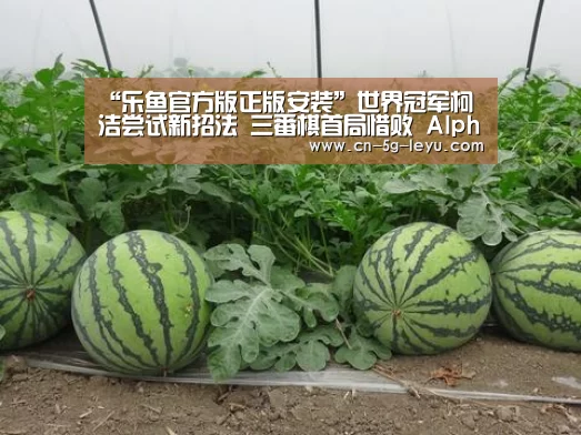 乐鱼app手机版下载