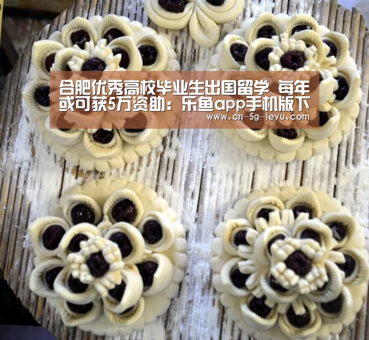 合肥优秀高校毕业生出国留学 每年或可获5万资助:乐鱼app手机版下载(图1) 乐鱼体育平台网址