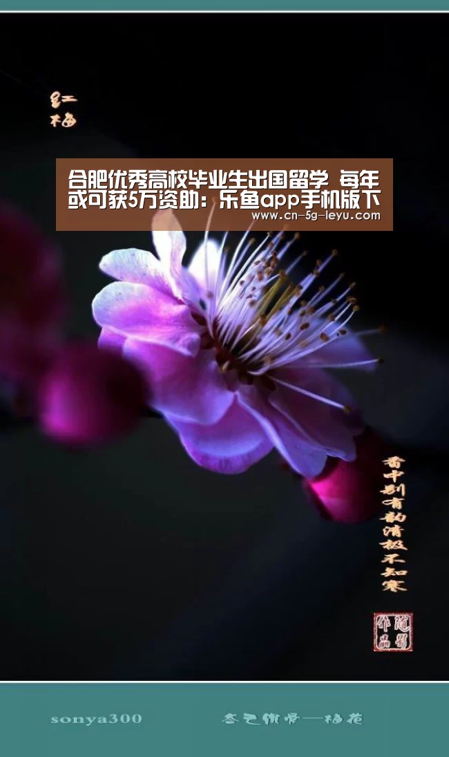 合肥优秀高校毕业生出国留学 每年或可获5万资助:乐鱼app手机版下载(图3) 乐鱼官方版正版安装